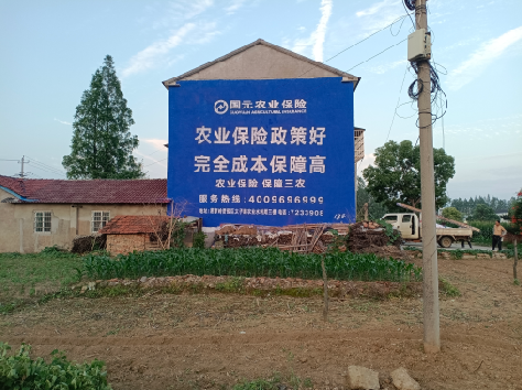  祁门墙体广告为何受追捧？